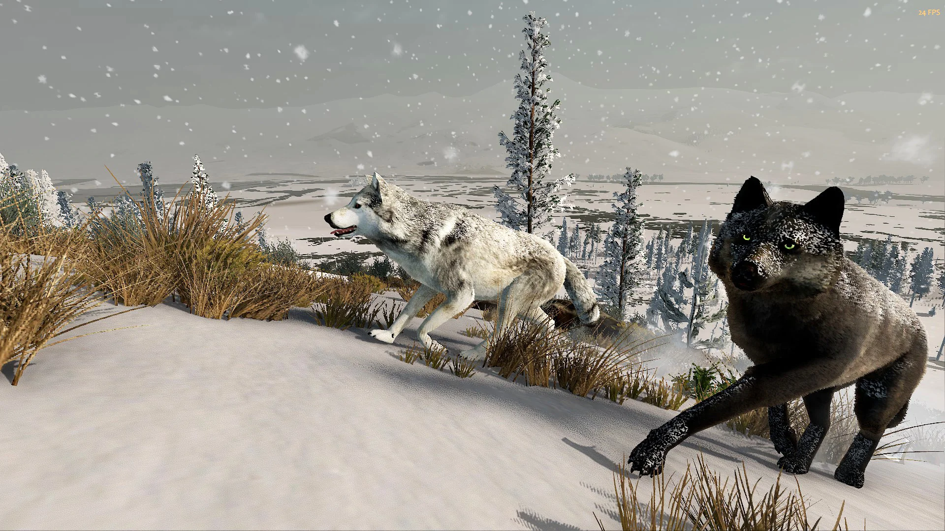 Wolf Quest Anniversary Edition